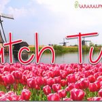 英語フォント Dutch Tulips Demo